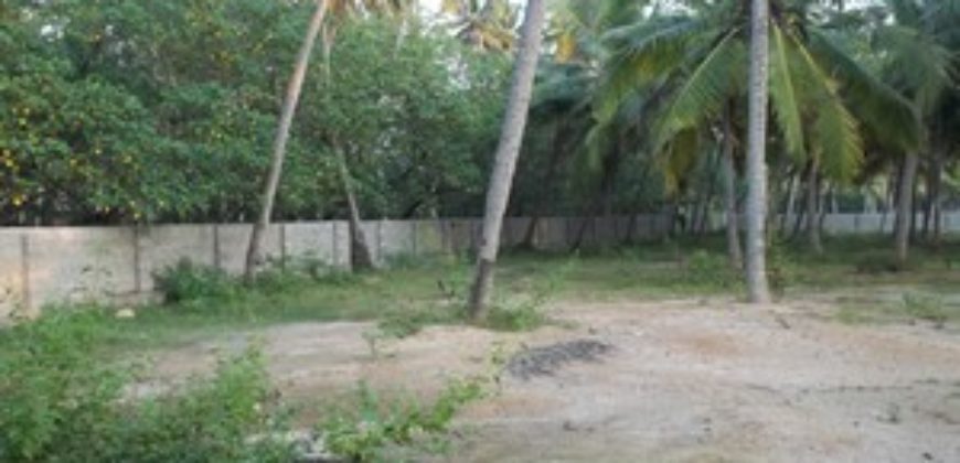 10 cent residence east facing land park 5 km lorry sight per cent 4.3 lakh 9995061065