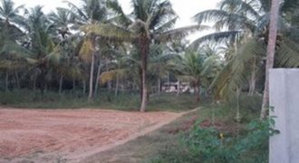 45 cent 5 meter road side per cent 4.5 lakh near kinfra video park 9995061065