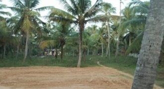 5 cent residence land lorry sight bus stop 500 meter mangalapuram per cent 4.5 lakh 2 km from technocity 9995061065