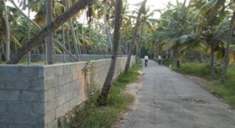 21 cent commercial land and residence 6 meter road side 1 km from kaniyapuram bus stand 9188764468