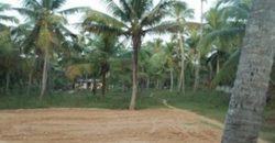 5 cent residence land lorry sight bus stop 500 meter mangalapuram per cent 4.5 lakh 2 km from technocity 9995061065