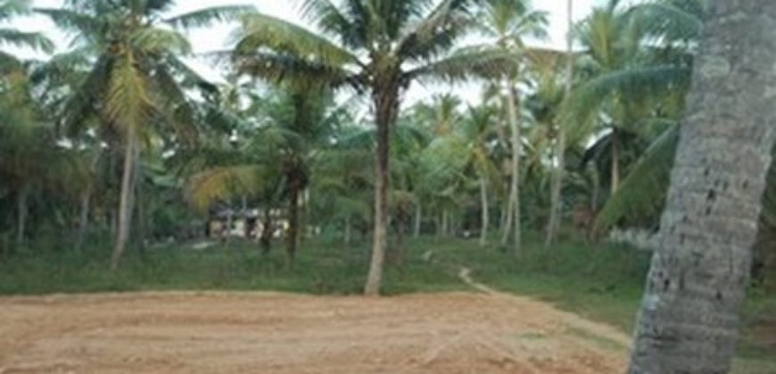 5 cent residence land lorry sight bus stop 500 meter mangalapuram per cent 4.5 lakh 2 km from technocity 9995061065