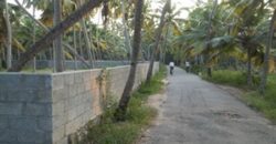 6 cent land residence land 500 meter from bus stop 2 km from infosys 9074909475