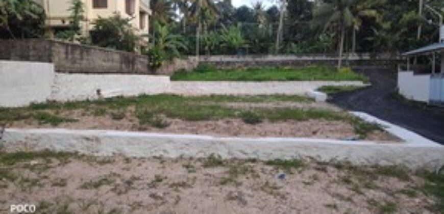 5 CENT ORIGINAL LAND RESIDENCE AREA 3 KM FROM PARK 9188764468