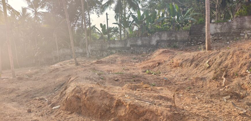 HOUSING PLOTS FOR SALE NEAR SREEKARIYAM, TRIVANDRUM