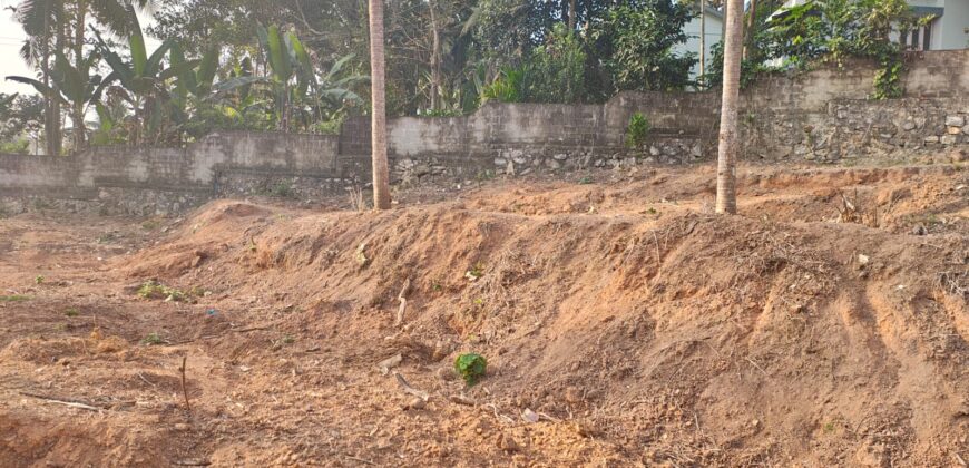 HOUSING PLOTS FOR SALE NEAR SREEKARIYAM, TRIVANDRUM