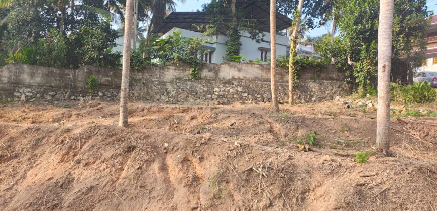 HOUSING PLOTS FOR SALE NEAR SREEKARIYAM, TRIVANDRUM