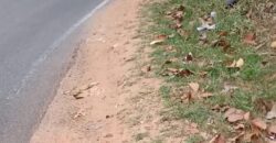 Plot for Sale in Trivandrum near Sreekariyam