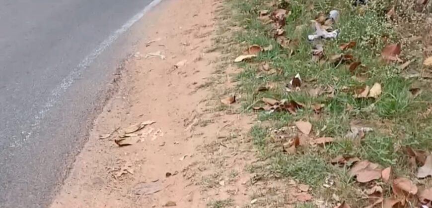 Plot for Sale in Trivandrum near Sreekariyam