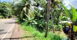 Plot for Sale in Trivandrum near Sreekariyam