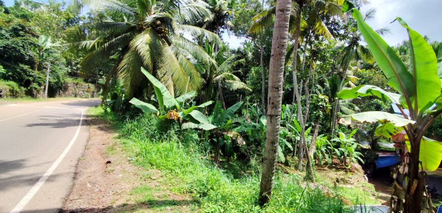 Plot for Sale in Trivandrum near Sreekariyam
