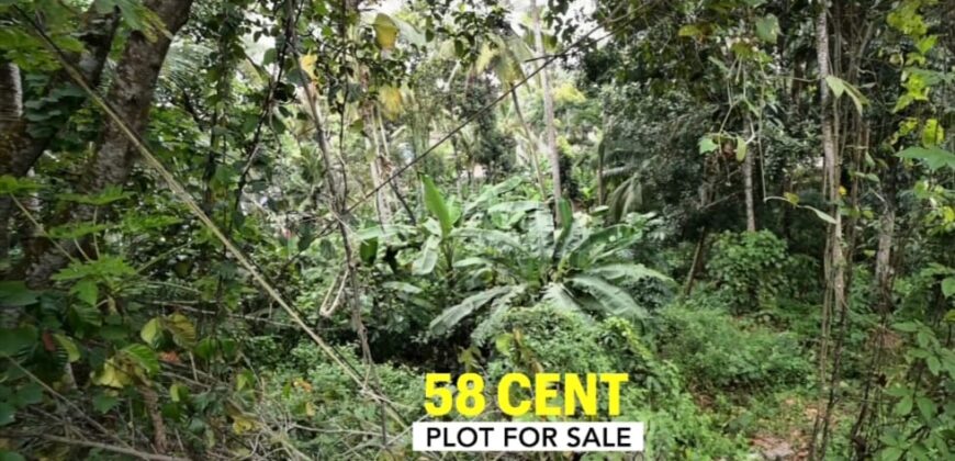 Plot for Sale in Trivandrum near Sreekariyam